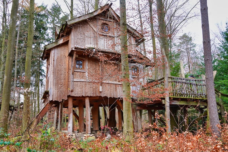 Treetop Dwelling